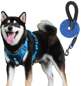 No-Pull Dog Harness and Leash Set  Adjustable Soft Padded Vest with 2 Leash Clips  Reflective No-Choke Design for Large Dogs  Durable Easy-Control Handle for Walking & Training (L)