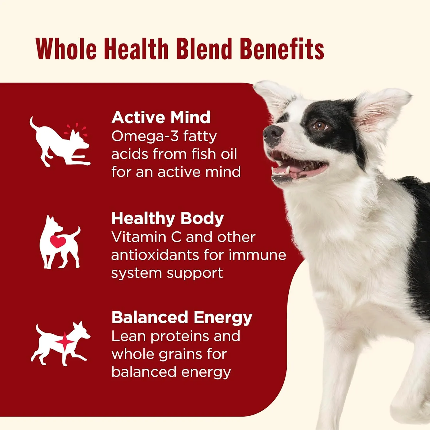 Nutrish Real Beef, Pea & Brown Rice Recipe Whole Health Blend Dry Dog Food, 6 lb. Bag, Packaging May Vary (Rachael Ray)