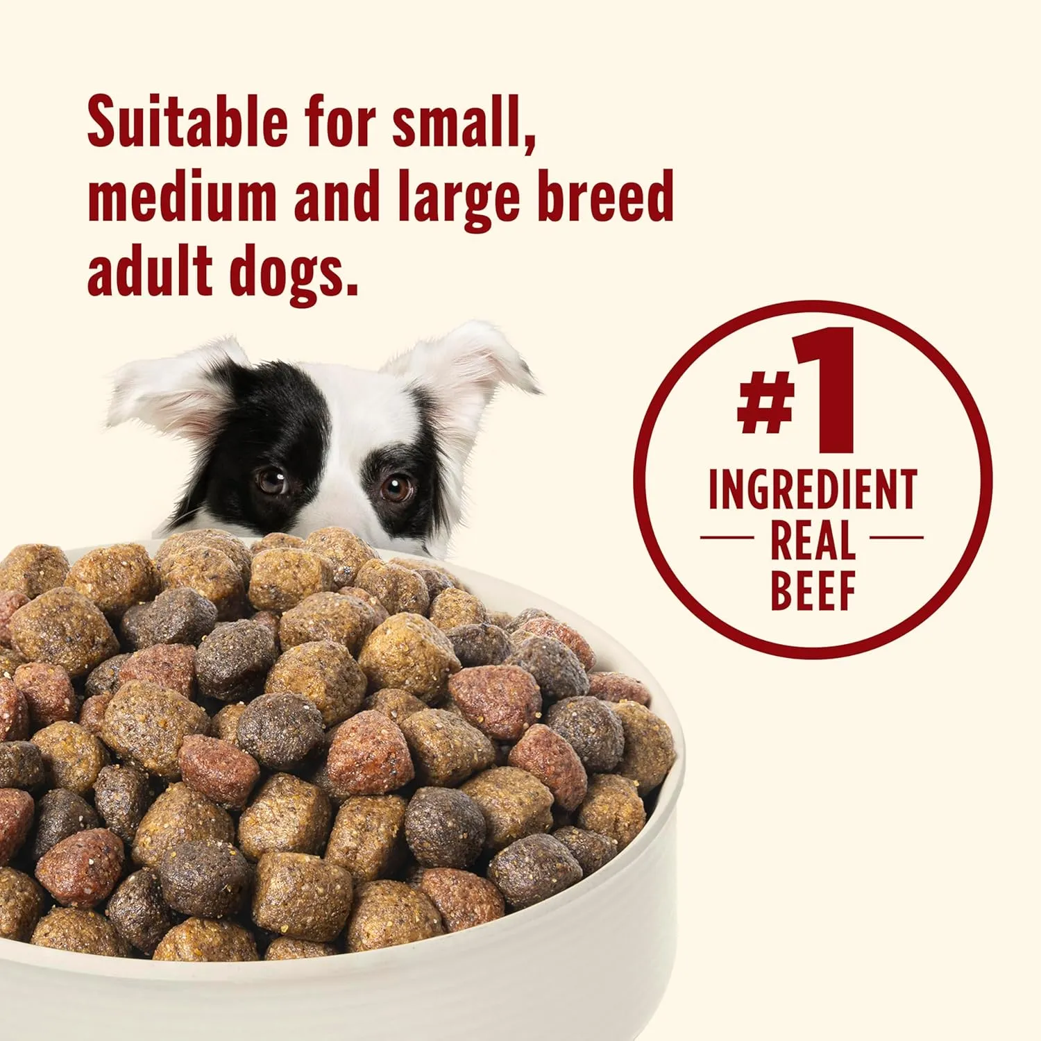 Nutrish Real Beef, Pea & Brown Rice Recipe Whole Health Blend Dry Dog Food, 6 lb. Bag, Packaging May Vary (Rachael Ray)