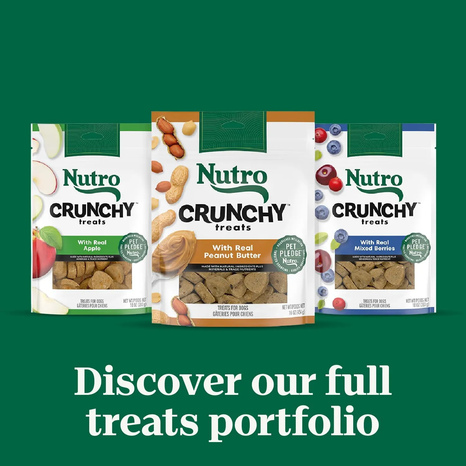 Nutro Crunchy Dog Treats with Real Mixed Berries, 16 oz. Bag