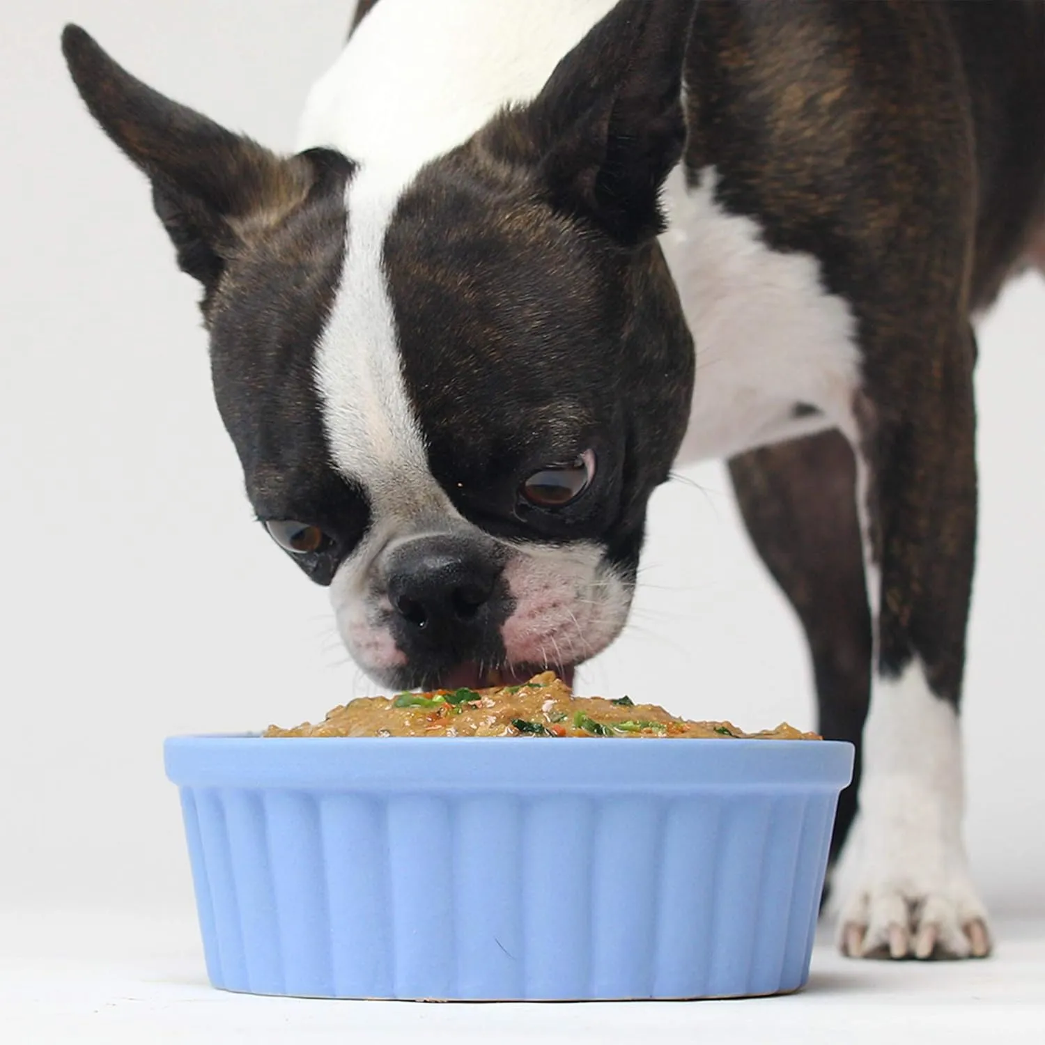 Open Farm Rustic Stews Wet Dog Food, Grain-Free, Complete & Balanced with Human-Grade Ingredients, Humanely-Raised Meat & Bone Broth, Homestead Turkey Recipe, 12.5oz Packs (Case of 12)