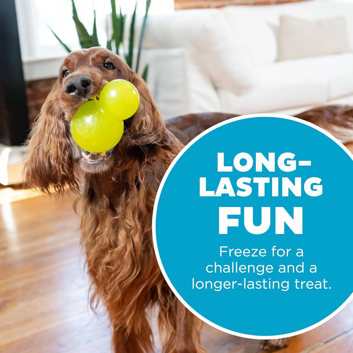 Outward Hound by Planet Dog Double-Tuff Interactive Treat-Dispensing Dog Toy, Large, Green