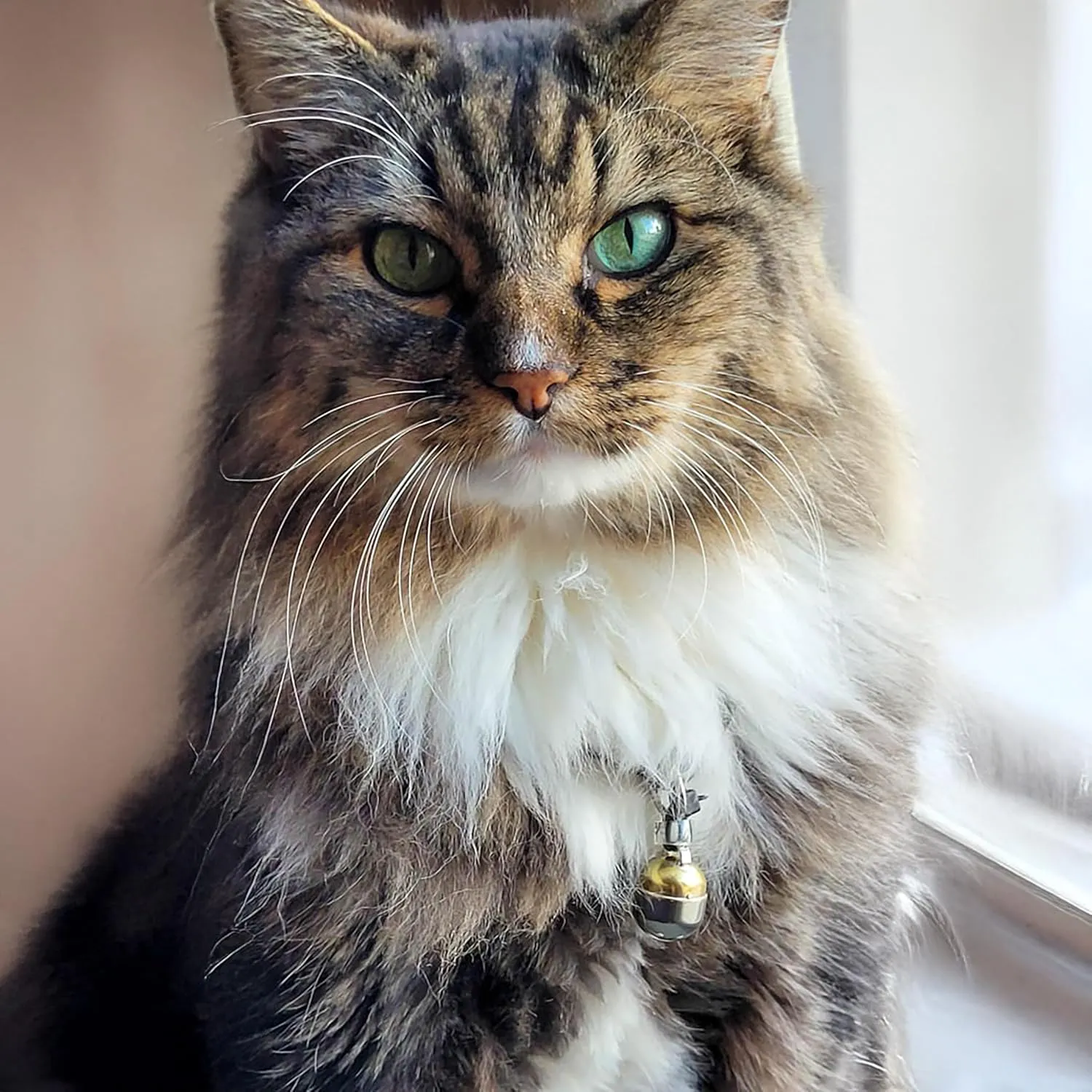 Pair - Handmade in USA, Extra Loud Multifaceted Clacker, Collar Bell for Cats and Dogs, Premium Brass and Nickel Silver