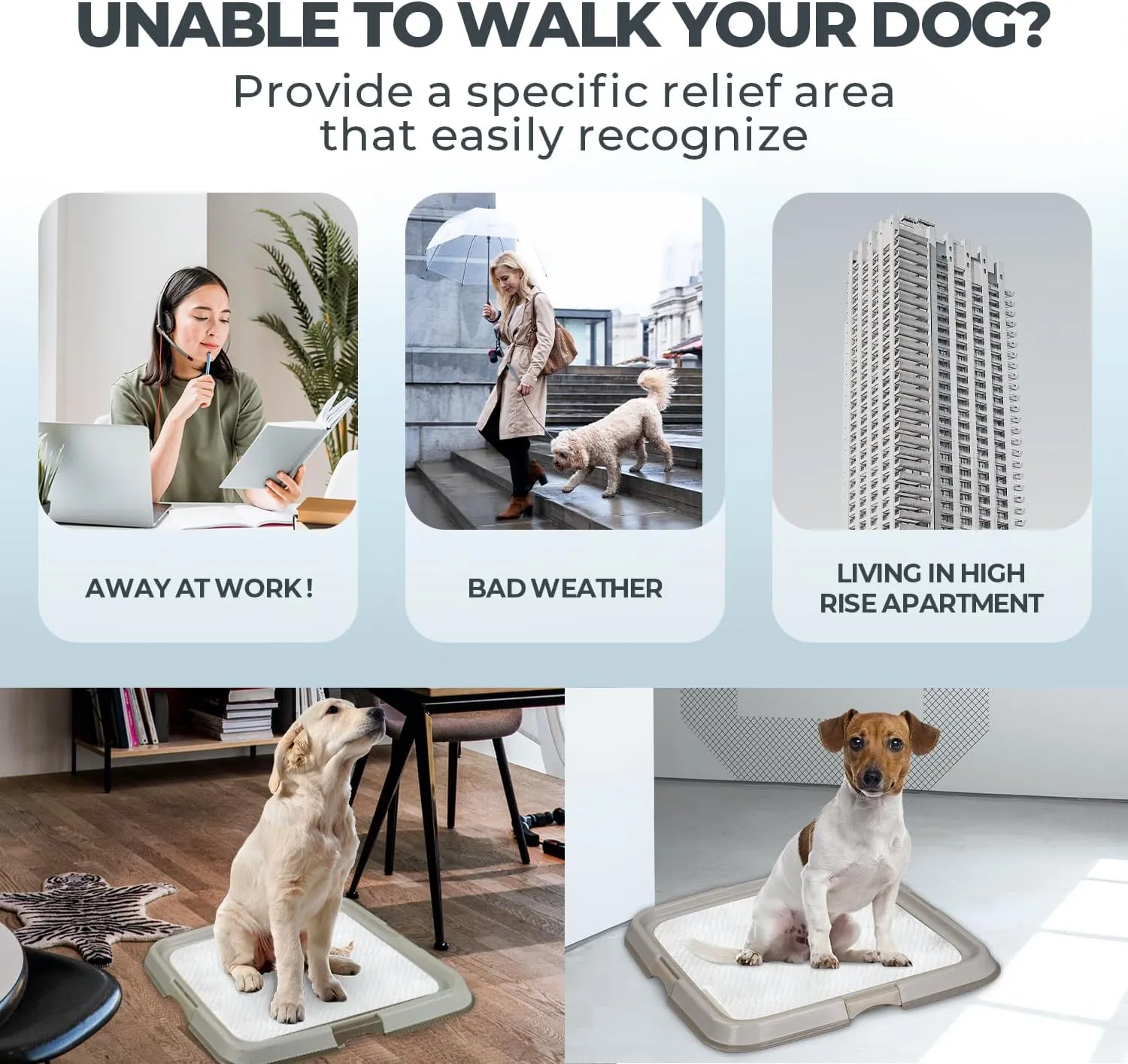 PAWISE Dog Training Pee Pad Holder Tray, Indoor Puppy Potty Pee Pad Floor Tray Dog Toilet, 24''X24', Large