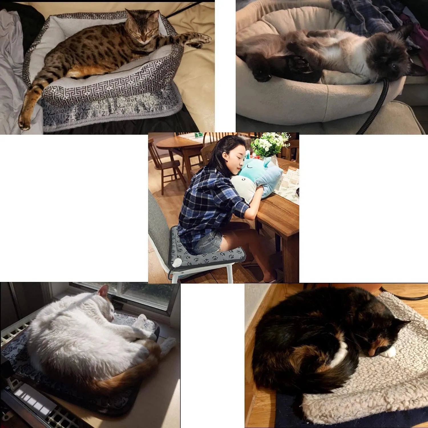 Pet Heating Pad for Small Dogs Cats Heated Bed mat Indoor Electric Cat Warming Bed Waterproof Dog Heating pad Chew Proof Cord,Easy Clean