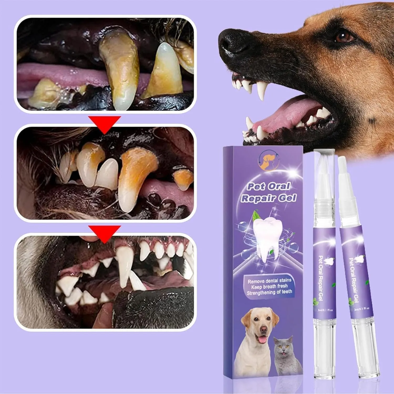 Petdentify Pet Oral Repair Gel, Petdentify, Petdentify Toothbrush, Pet Oral Repair Gel for Dogs, Lettuce Pets Toothbrush, Targets Tartars-Without Brushing, Pet Oral Restorative Gel