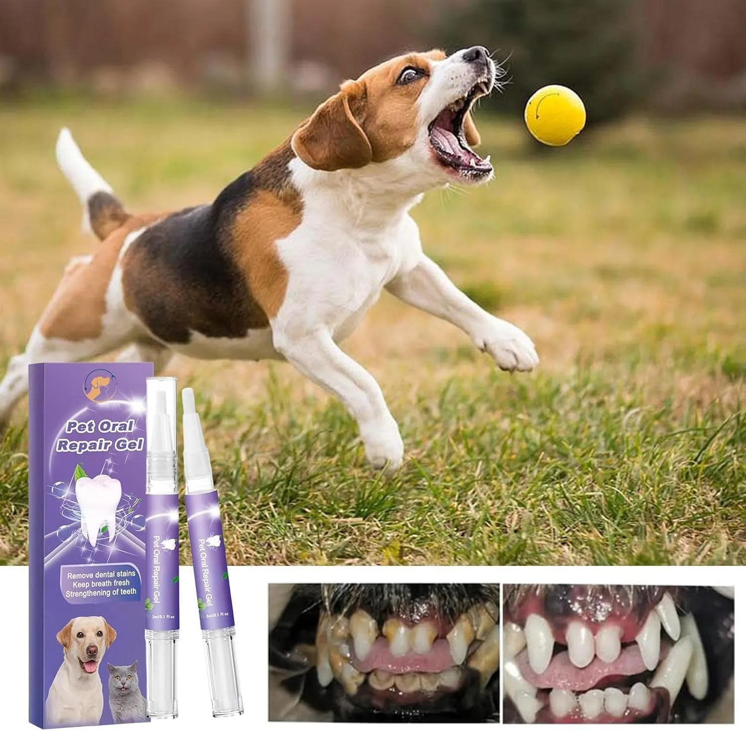 Petdentify Pet Oral Repair Gel, Petdentify, Petdentify Toothbrush, Pet Oral Repair Gel for Dogs, Lettuce Pets Toothbrush, Targets Tartars-Without Brushing, Pet Oral Restorative Gel