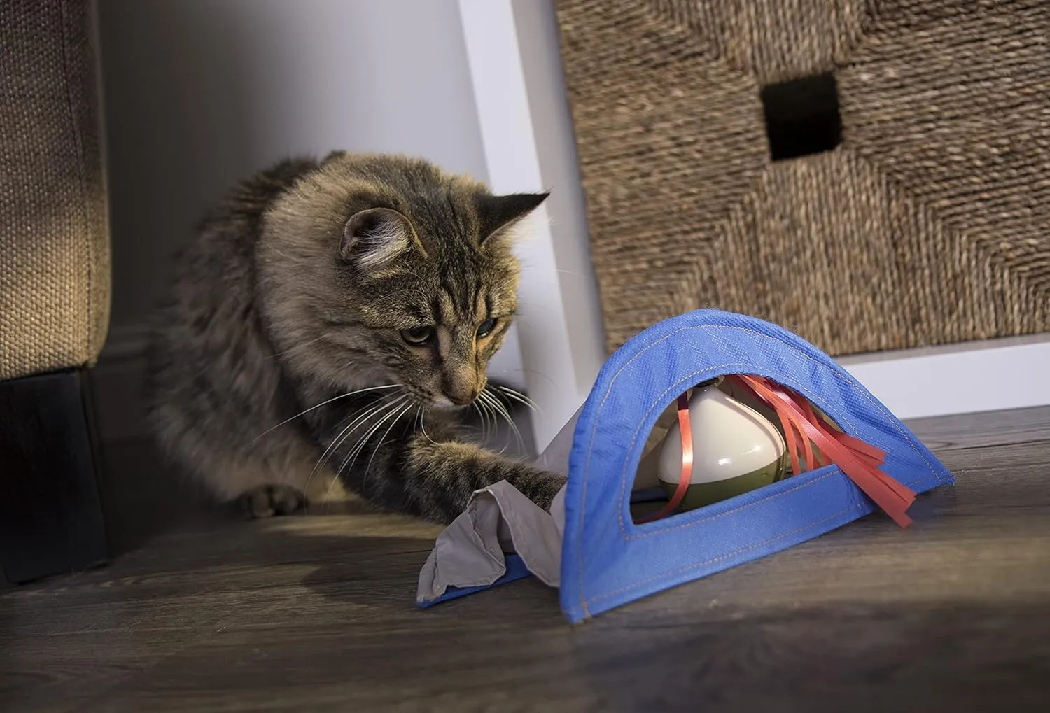 Petlinks Rowdy Rustler Electronic Motion Hide-N-Peek Ball Toy for Cats & Kittens, Spinning, Battery Powered, Fun & Engaging Play, Encourages Exercise - Multi Color, One Size