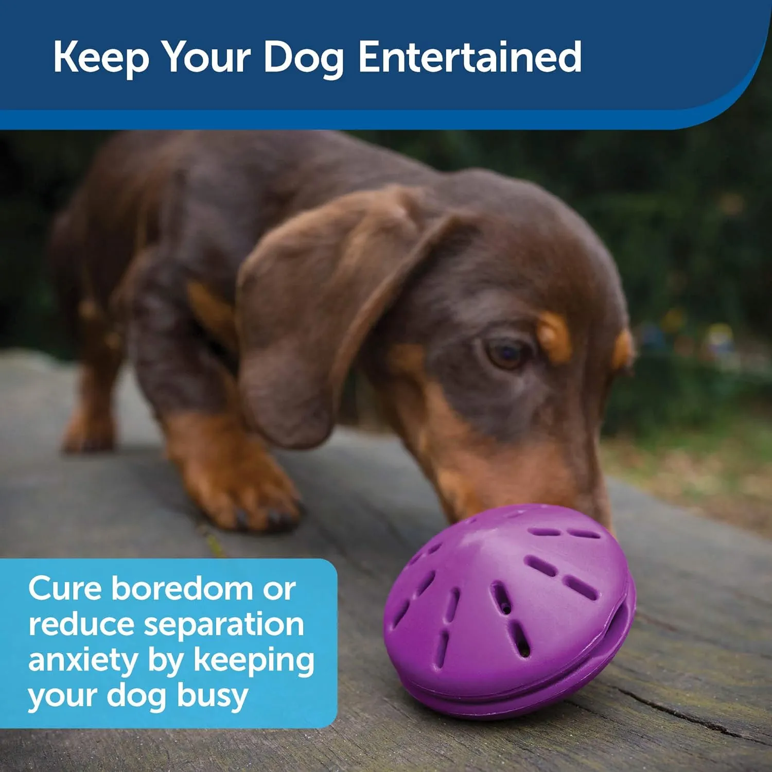 PetSafe Busy Buddy Twist 'n Treat Dispensing Dog Toy - Small