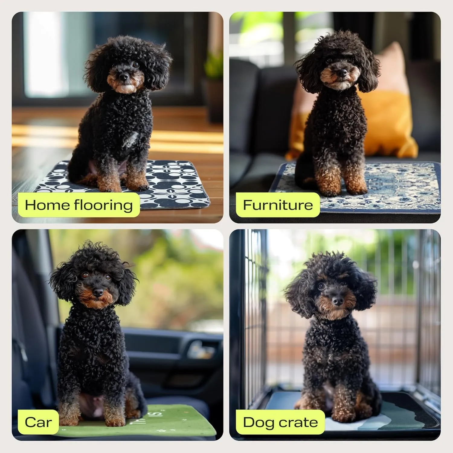 PetSpy Washable Pee Pads for Dogs - Waterproof Reusable Puppy Pads No-Slip Surface - Stylish Dog Potty Training Pads Protect Against Leakage (Ornament, 2 Pack - 36" x 41")
