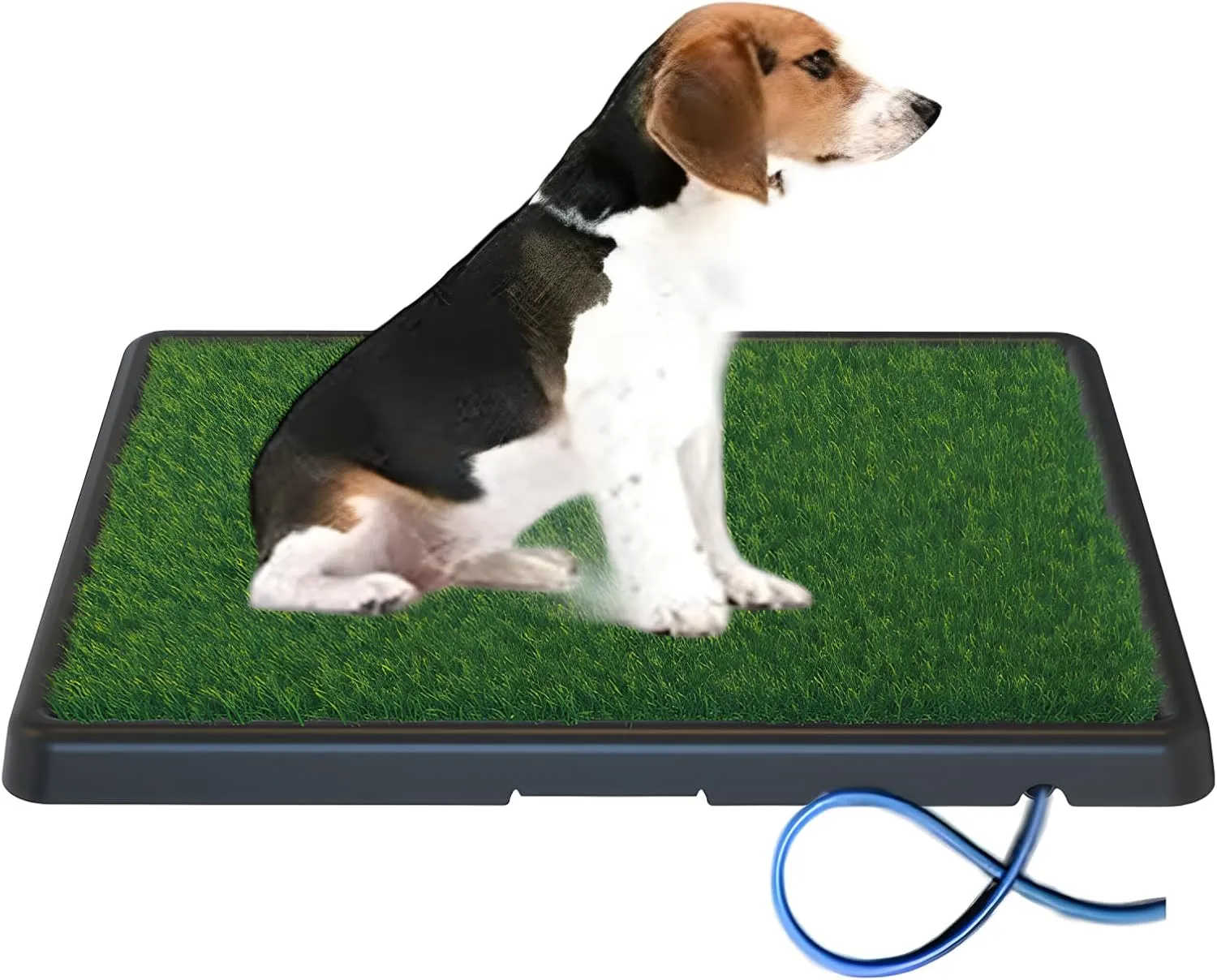 Portable Drainage Pet Urinal,Toilet,Grass Mat.,Potty Grass, Urinal Containing, Toilet Substitute,Puppy Turf,Suitable Size for Most Dogs,Dogs Cushions. 25 * 20 * 2 Inches.