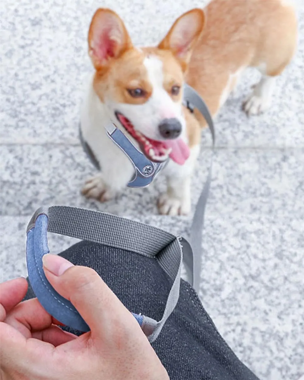 Puppy Harness and Leash Set,No Pull Adjustable Step in Soft Mesh Vest Harness,Easy Walk Reflective Pet Harness with Padded Handle for Walking Training Small Medium Large Dogs and Cats (Blue, XS)