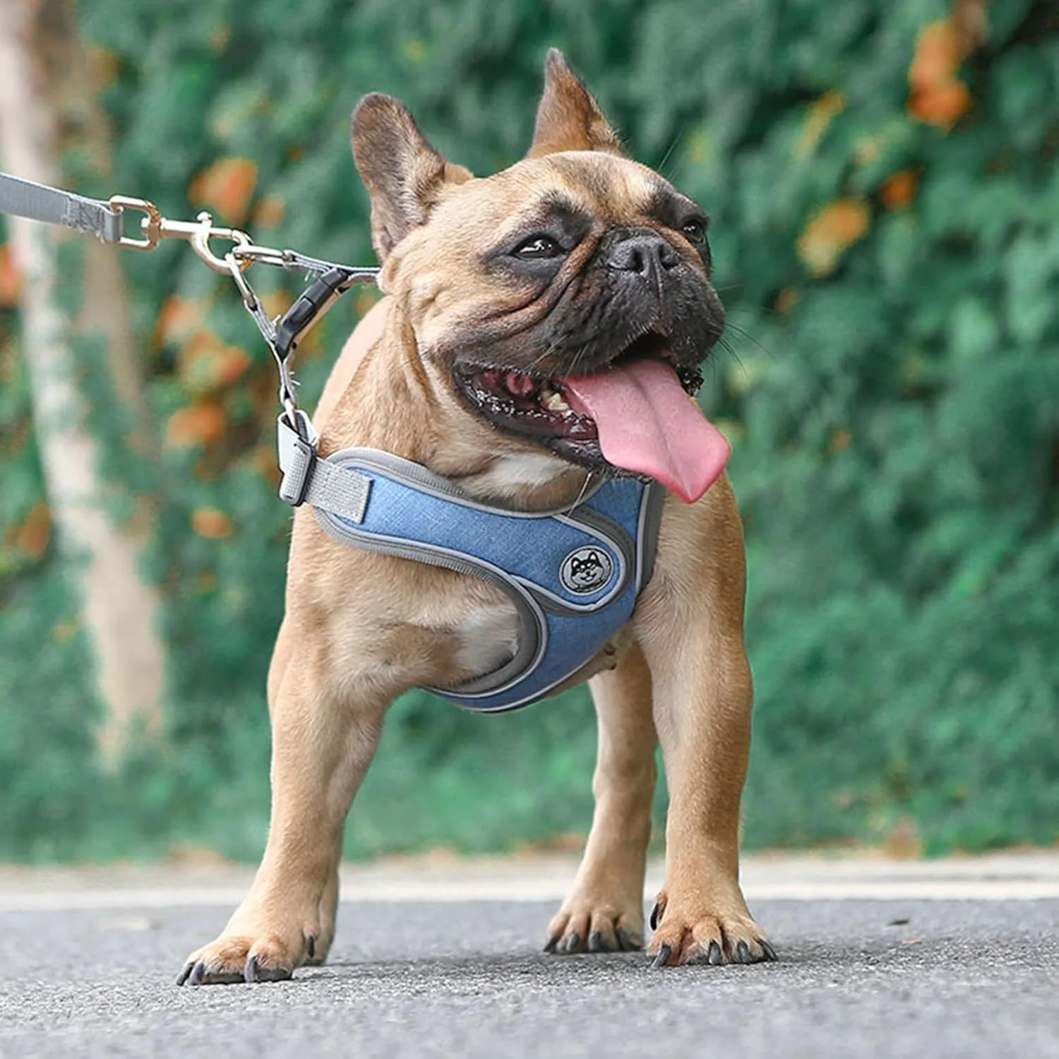 Puppy Harness and Leash Set,No Pull Adjustable Step in Soft Mesh Vest Harness,Easy Walk Reflective Pet Harness with Padded Handle for Walking Training Small Medium Large Dogs and Cats (Blue, XS)