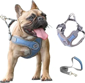 Puppy Harness and Leash Set,No Pull Adjustable Step in Soft Mesh Vest Harness,Easy Walk Reflective Pet Harness with Padded Handle for Walking Training Small Medium Large Dogs and Cats (Blue, XS)