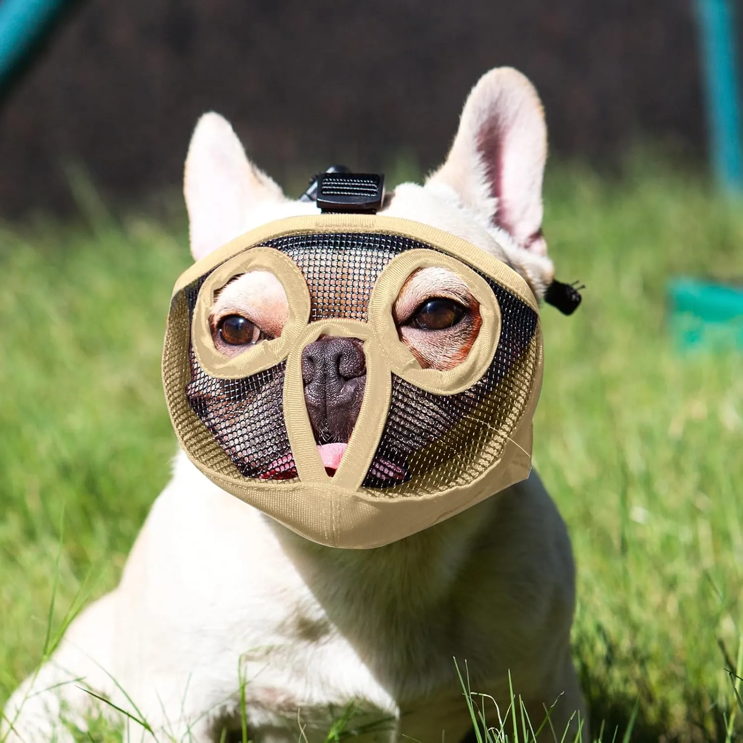 Short Snout Dog Muzzles- Adjustable Breathable Mesh Bulldog Muzzle for Biting Chewing Licking Training Grooming Dog Mask (Khaki, Medium/11-17")