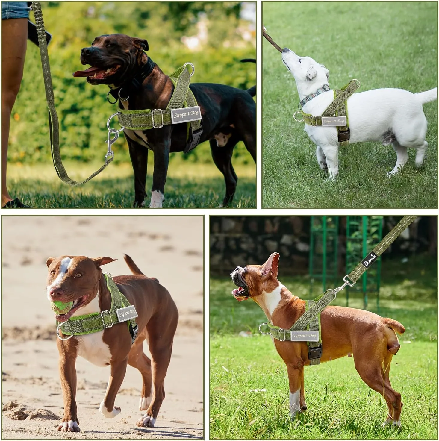 SlowTon No Pull Dog Harness - Heavy Duty Dog Harness and Leash Set for Medium Large Dogs, Reflective Tactical Harness with Soft Padded and Front Clip for Easy Walk and Training (Green M)