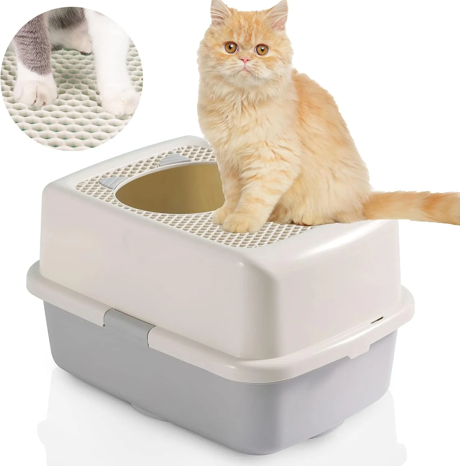 Smart Paws   ,,,,,
