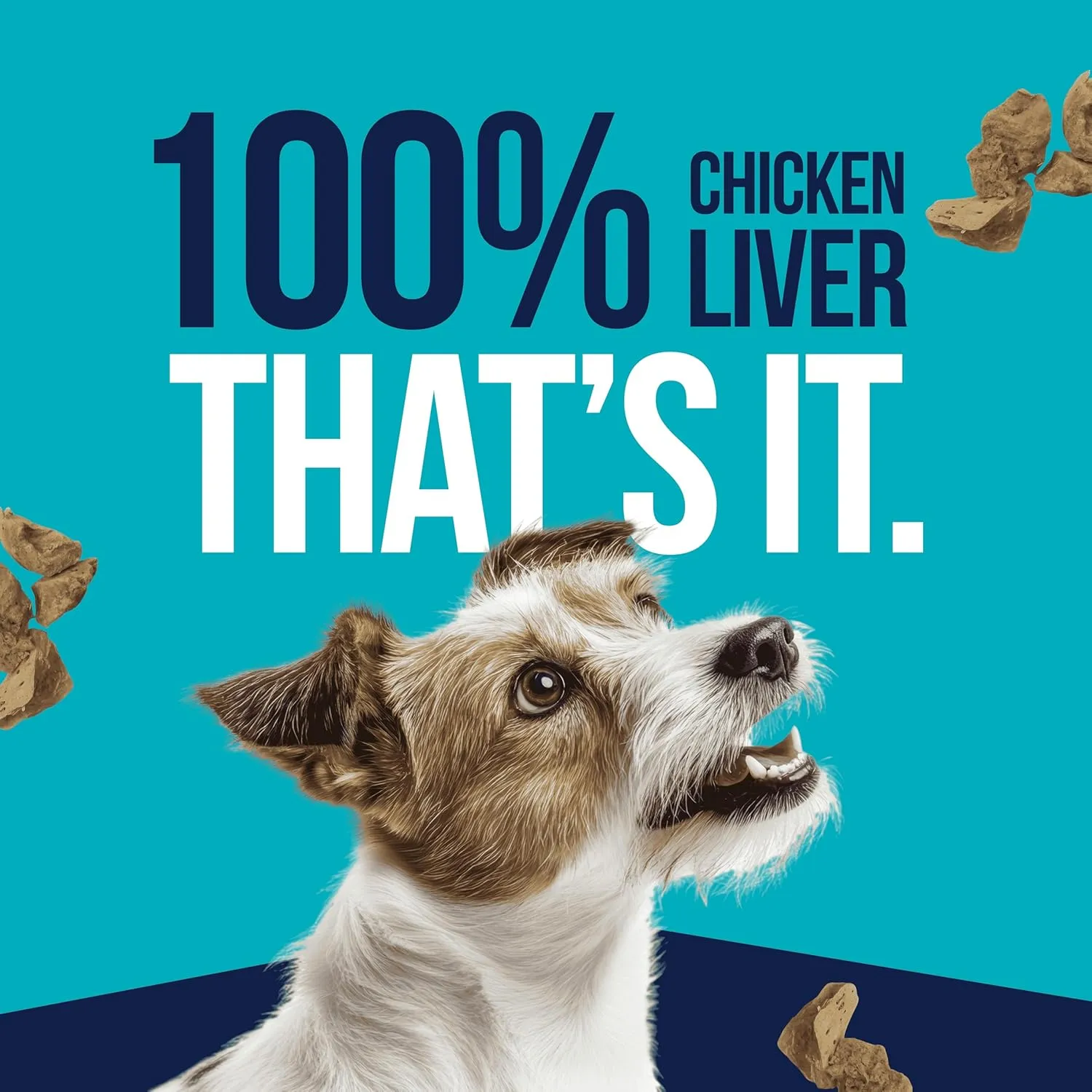 Stewart Freeze Dried Dog Treats, Chicken Liver, Healthy, Natural, Single Ingredient, Grain Free Dog Treat, Liver Treats for Dogs, 11.5 Ounces, Resealable Tub