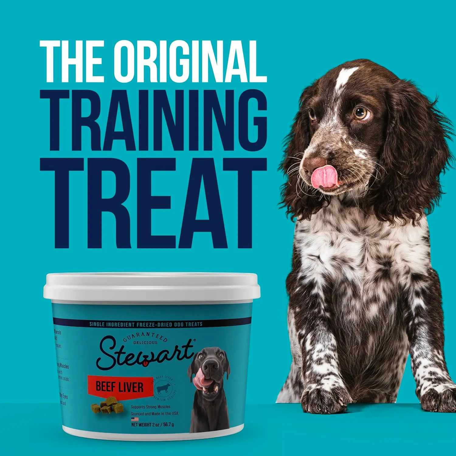 Stewart Single Ingredient Freeze Dried Raw Dog Treats, Beef Liver, 12 Ounce Resealable Tub, Training Treats or Meal Topper for All Size Dogs, High Protein, Grain-Free, Gluten-Free
