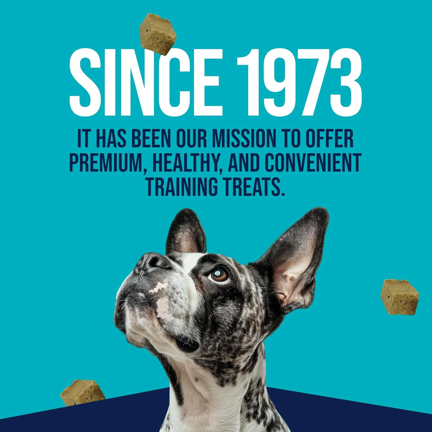 Stewart Single Ingredient Freeze Dried Raw Dog Treats, Beef Liver, 21 Ounce Value Size Resealable Tub, Training Treats or Meal Topper for All Size Dogs, High Protein, Grain-Free, Gluten-Free