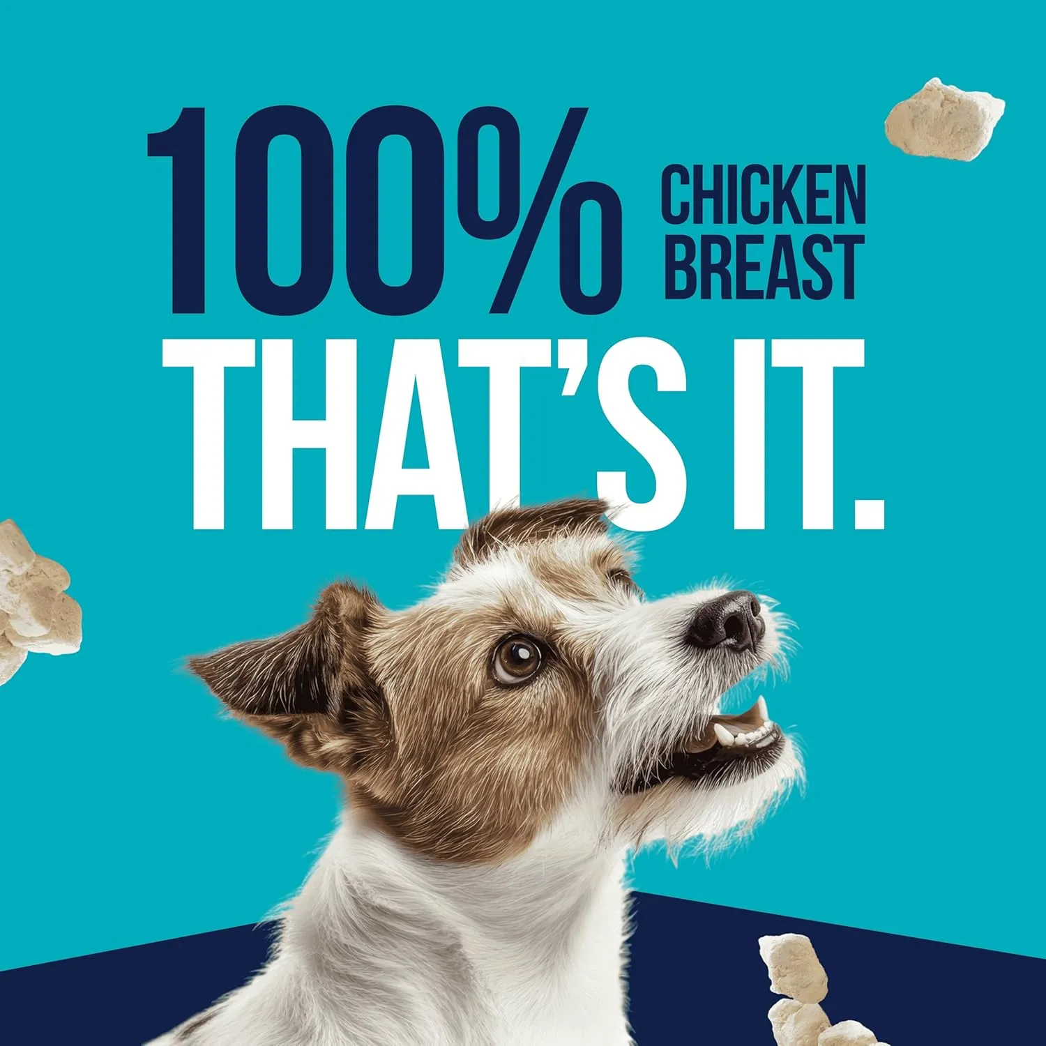 Stewart Single Ingredient Freeze Dried Raw Dog Treats, Chicken Breast, 14.8 Ounce Value Size Resealable Tub, Training Treats or Meal Topper for All Size Dogs, High Protein, Grain-Free, Gluten-Free