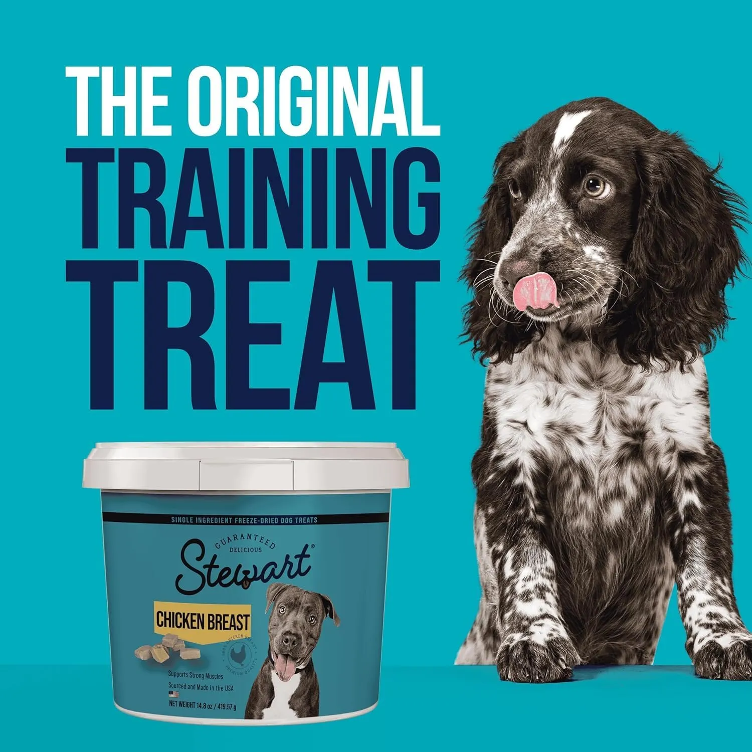 Stewart Single Ingredient Freeze Dried Raw Dog Treats, Chicken Breast, 3 Ounce Resealable Pouch, Training Treats or Meal Topper for All Size Dogs, High Protein, Grain-Free, Gluten-Free