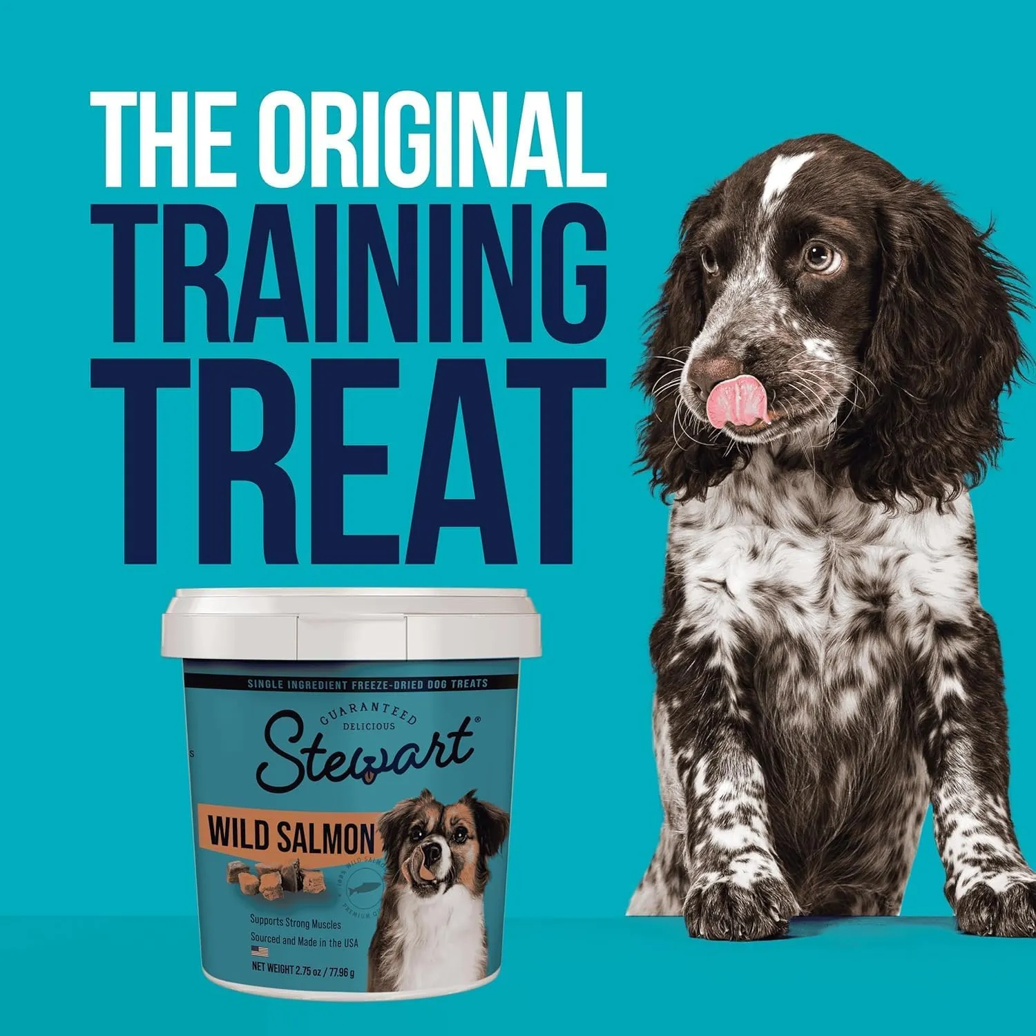 Stewart Single Ingredient Freeze Dried Raw Dog Treats, Wild Salmon, 2.75 Ounce Resealable Tub, Training Treats or Meal Topper for All Size Dogs, High Protein, Grain-Free, Gluten-Free