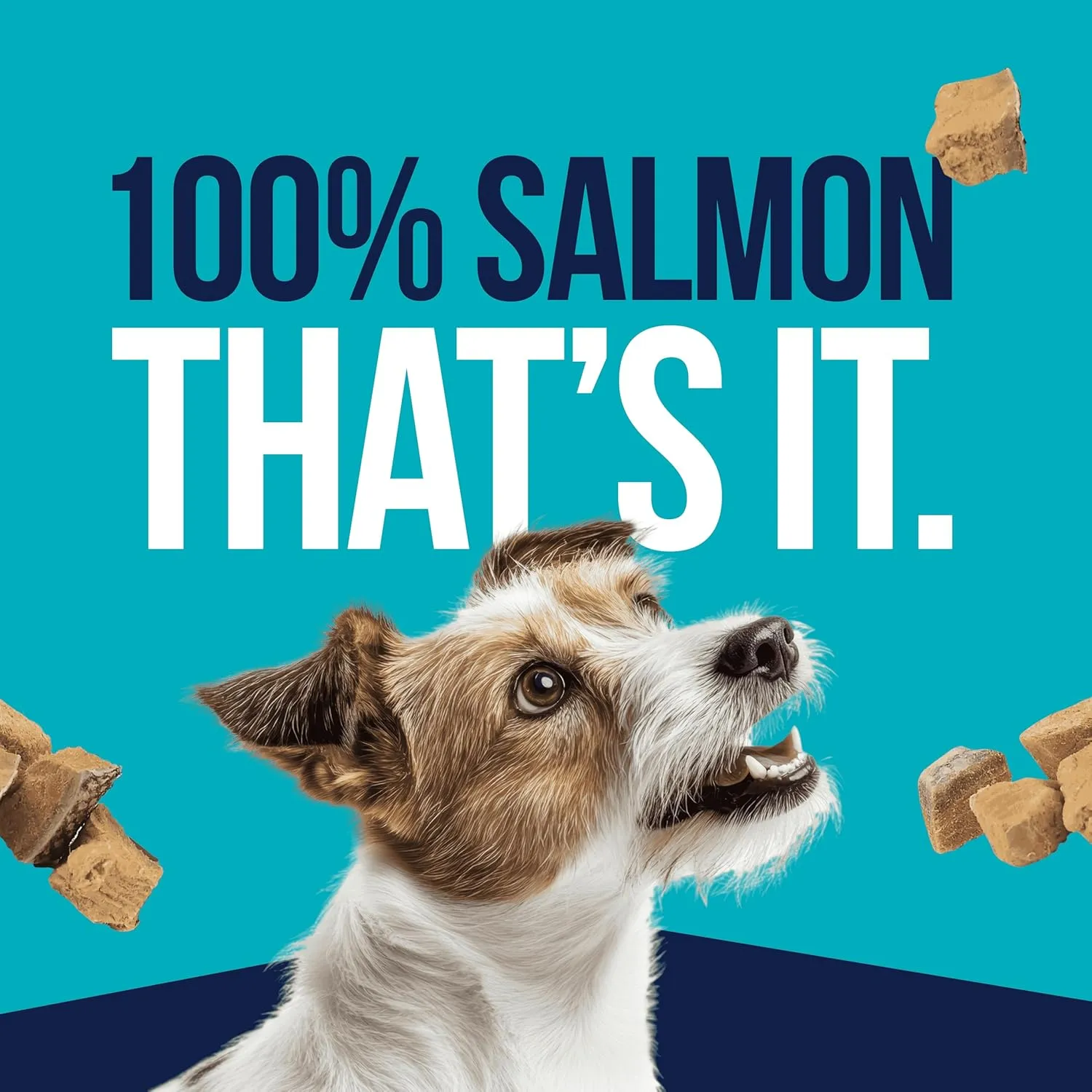 Stewart Single Ingredient Freeze Dried Raw Dog Treats, Wild Salmon, 2.75 Ounce Resealable Tub, Training Treats or Meal Topper for All Size Dogs, High Protein, Grain-Free, Gluten-Free