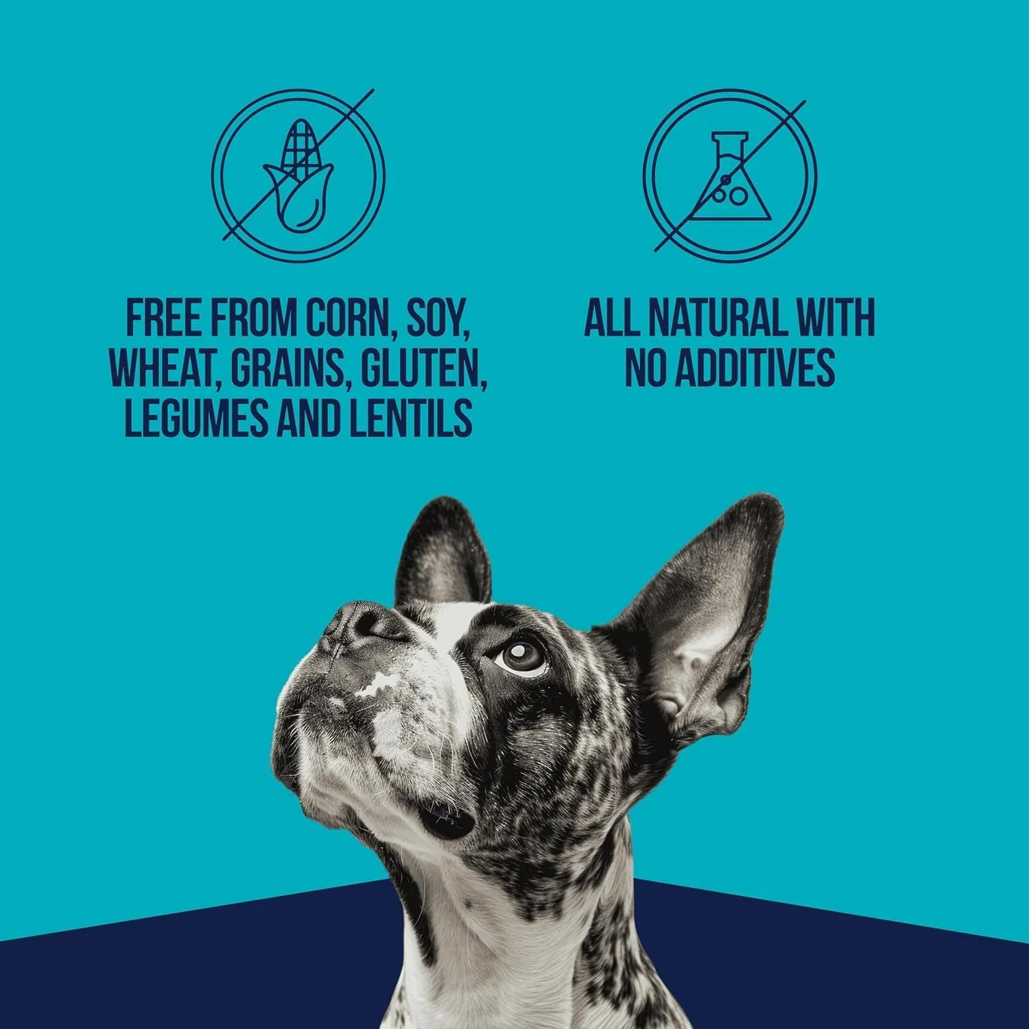 Stewart Single Ingredient Freeze Dried Raw Dog Treats, Wild Salmon, 2.75 Ounce Resealable Tub, Training Treats or Meal Topper for All Size Dogs, High Protein, Grain-Free, Gluten-Free