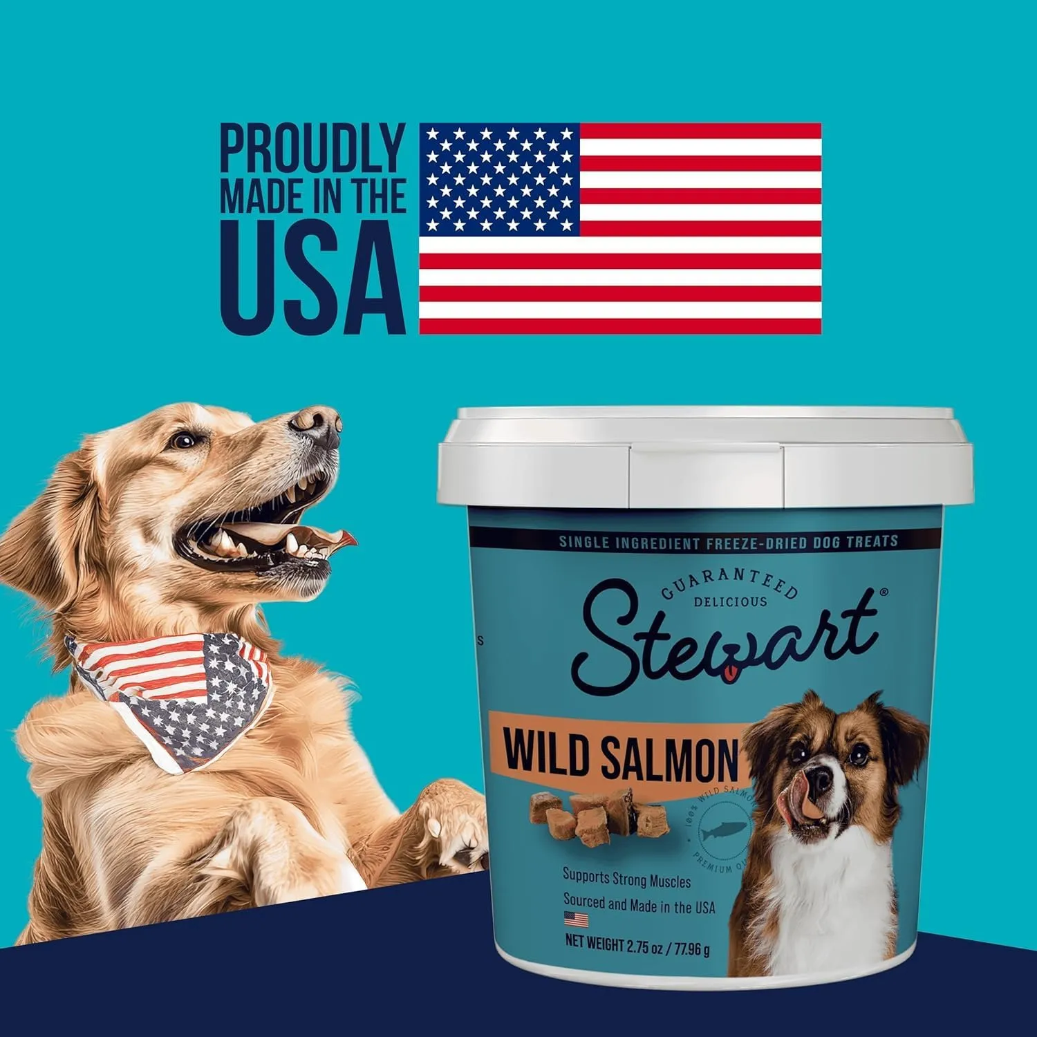 Stewart Single Ingredient Freeze Dried Raw Dog Treats, Wild Salmon, 2.75 Ounce Resealable Tub, Training Treats or Meal Topper for All Size Dogs, High Protein, Grain-Free, Gluten-Free