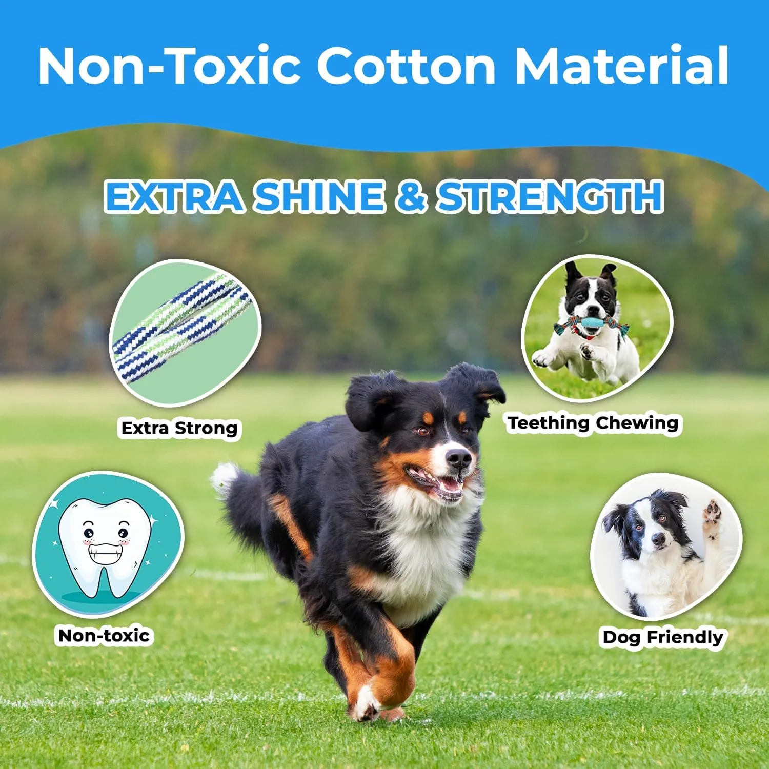 Stride Dog Chew Toys, Pack of 10, Cute Dog Rope Toys with Soft Rubber, Small & Medium Dogs, Interactive Dogs Toys for Boredom & Anxiety, Dog Teething Toy, Small Dog Toys, Keeps Dogs Busy for Hours