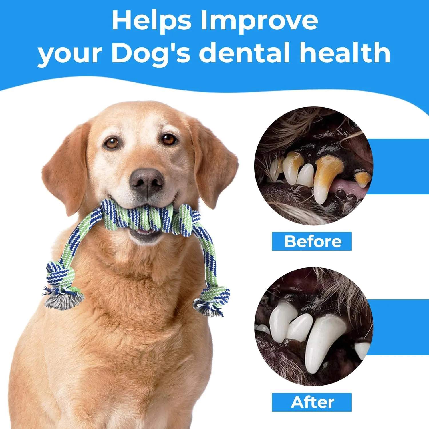 Stride Dog Chew Toys, Pack of 10, Cute Dog Rope Toys with Soft Rubber, Small & Medium Dogs, Interactive Dogs Toys for Boredom & Anxiety, Dog Teething Toy, Small Dog Toys, Keeps Dogs Busy for Hours