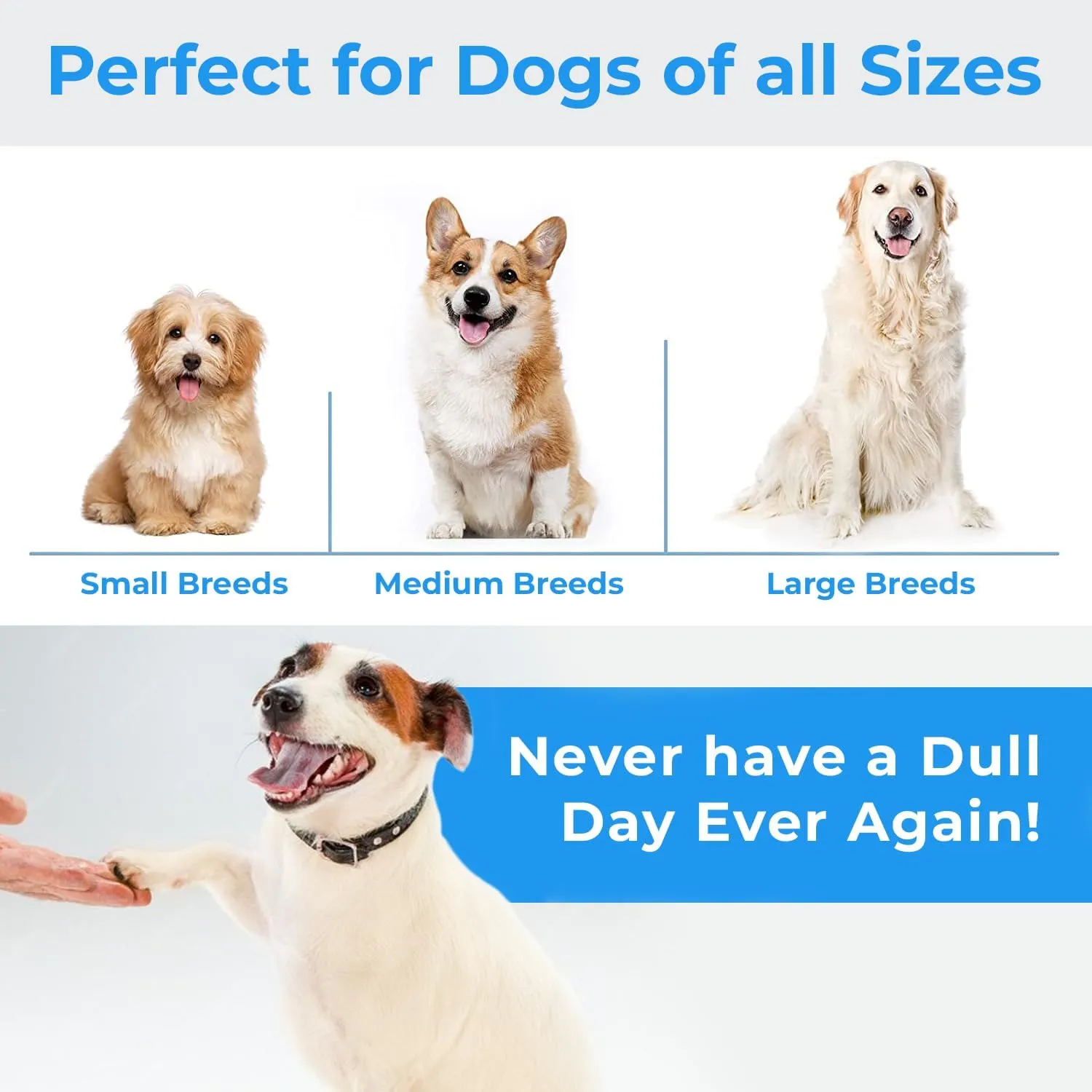 Stride Dog Chew Toys, Pack of 10, Cute Dog Rope Toys with Soft Rubber, Small & Medium Dogs, Interactive Dogs Toys for Boredom & Anxiety, Dog Teething Toy, Small Dog Toys, Keeps Dogs Busy for Hours
