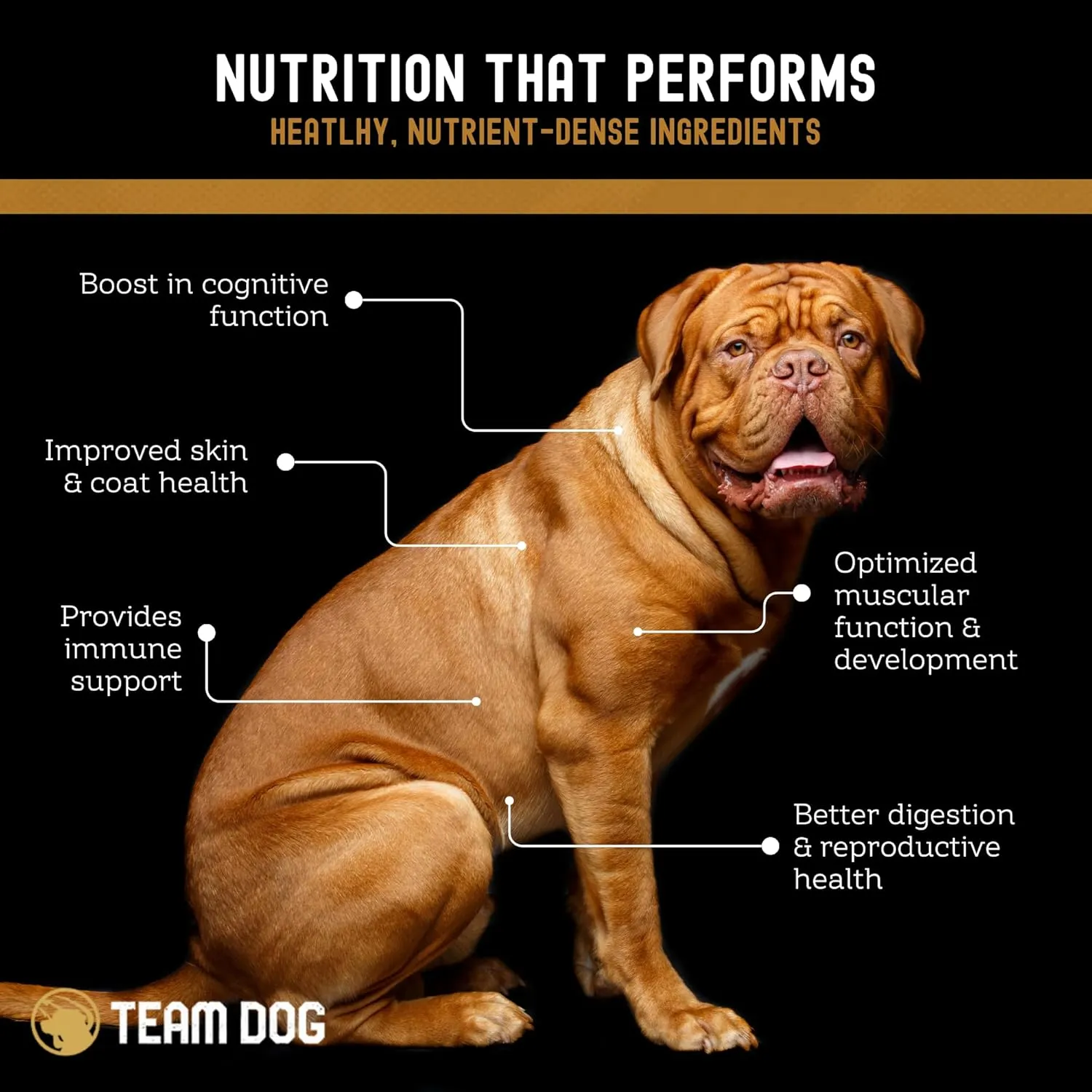 TEAM DOG Elite Blend High Protein Dog Food | Chicken Meal & Sweet Potato | For High Energy, High Performance Dogs | Easy to Digest | Gluten Free, GMO Free, No Corn, Wheat or Soy | (33 lb Dry Dog Food)