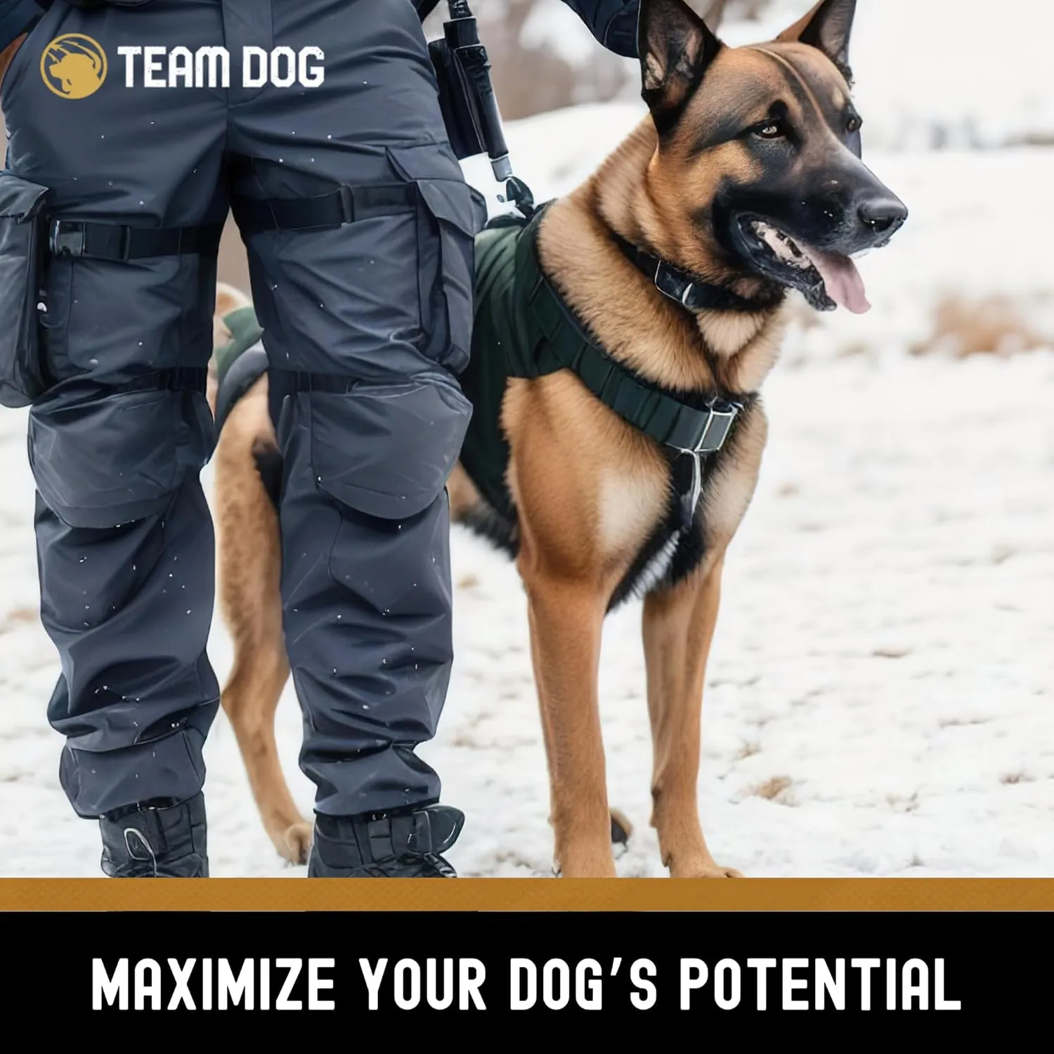 TEAM DOG Elite Blend High Protein Dog Food | Chicken Meal & Sweet Potato | For High Energy, High Performance Dogs | Easy to Digest | Gluten Free, GMO Free, No Corn, Wheat or Soy | (33 lb Dry Dog Food)