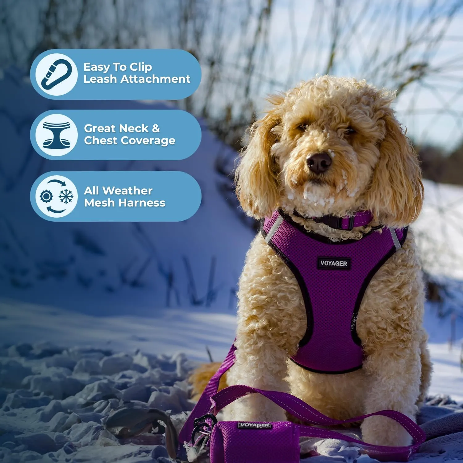 Voyager Step-in Air Dog Harness - All Weather Mesh, Reflective, No Pull Harness for Small, Medium Dogs, Cats - Secure with Hook & Loop Fastener, Buckle, Double D-Rings - Purple/Black Trim, XS