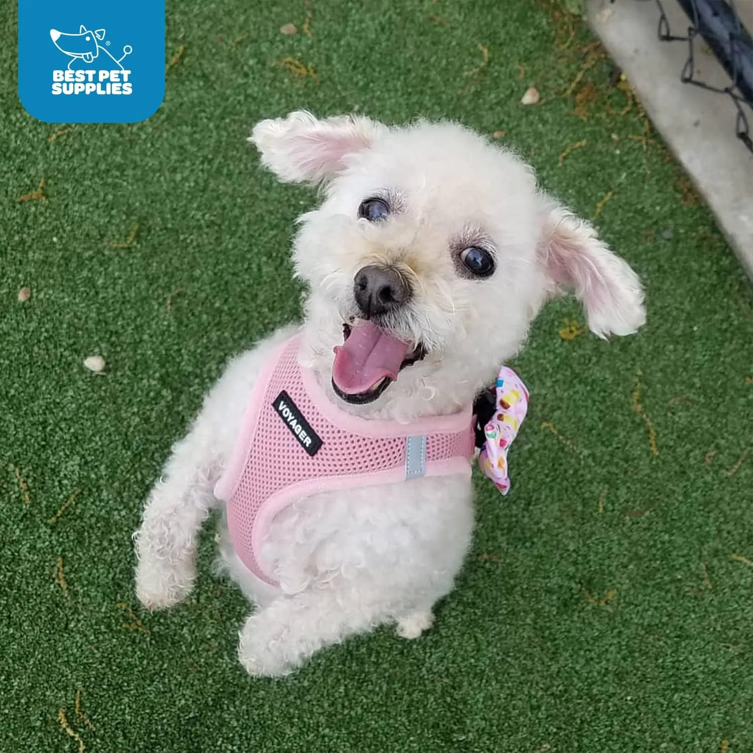 Voyager Step-In Air Dog Harness by Best Pet Supplies - All Weather Mesh Step in Vest Harness for Small and Medium Dogs, Pink, size L - Chest: 18 - 20.5"