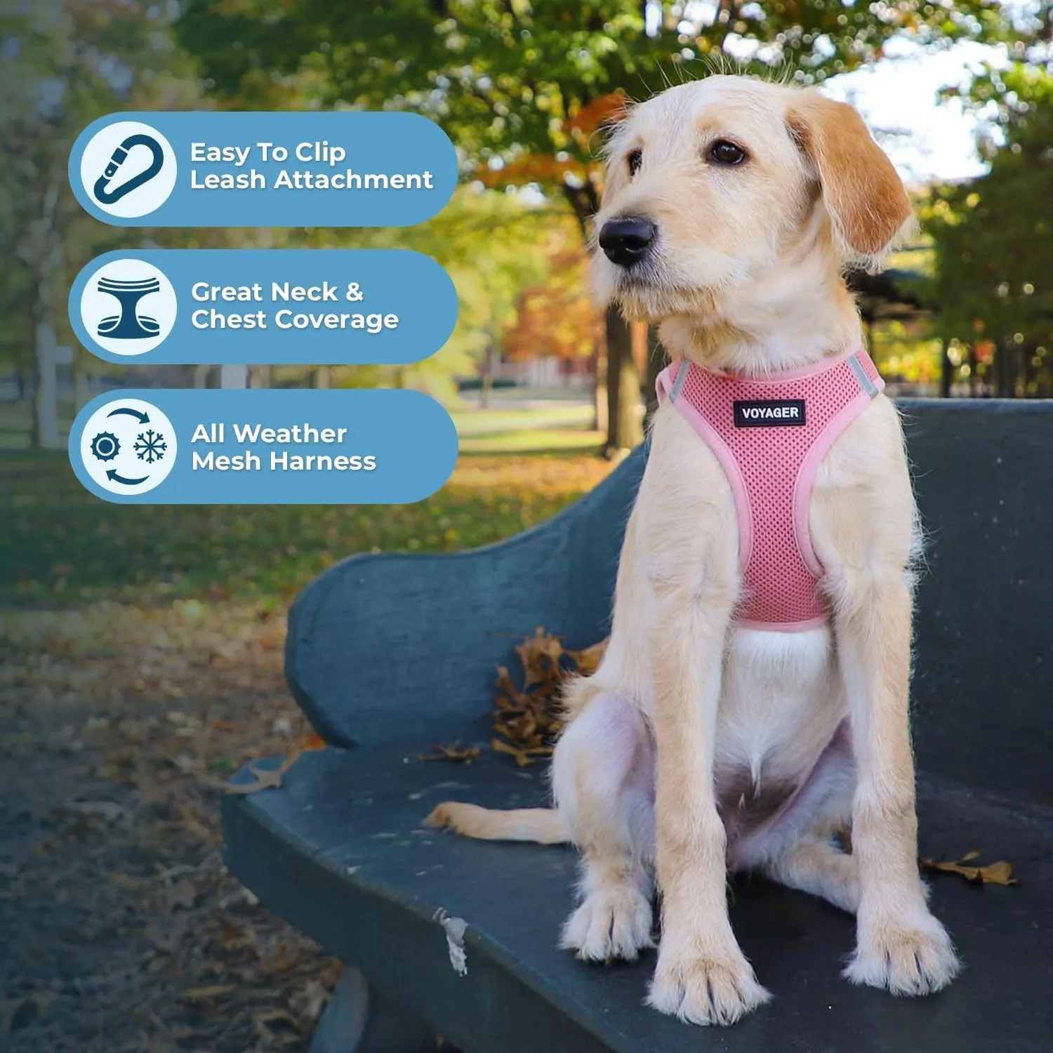 Voyager Step-In Air Dog Harness by Best Pet Supplies - All Weather Mesh Step in Vest Harness for Small and Medium Dogs, Pink, size L - Chest: 18 - 20.5"