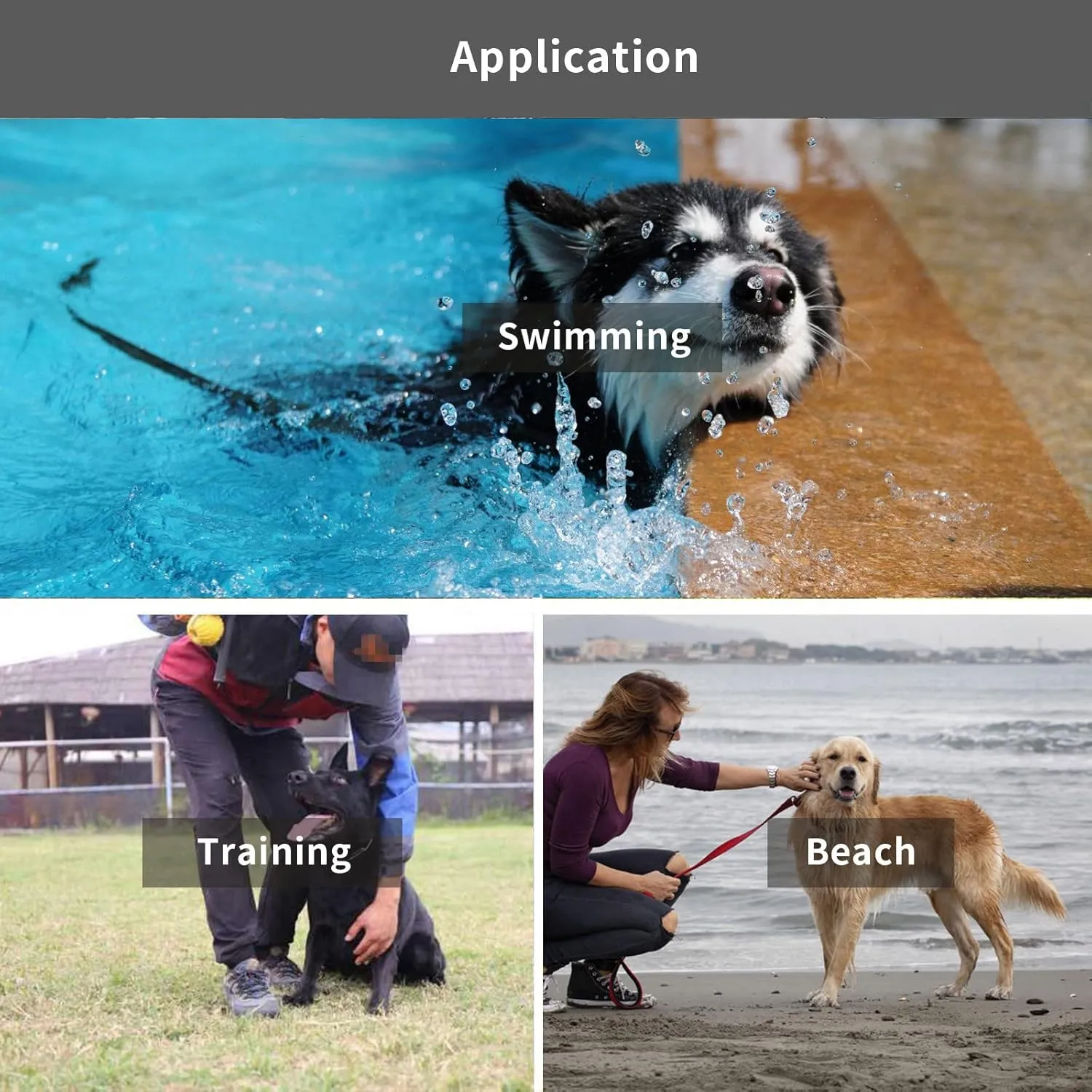 Waterproof Long Leash Durable Dog Recall Training Lead Great for Outdoor Hiking, Training, Yard, Beach and Swimming (Black, 30ft)