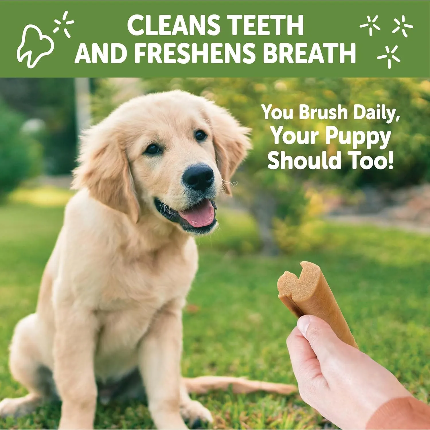 Wellness WHIMZEES Puppy Dog Dental Treats, Natural Chews, Extra Small & Small Size Stick, (30 Count)