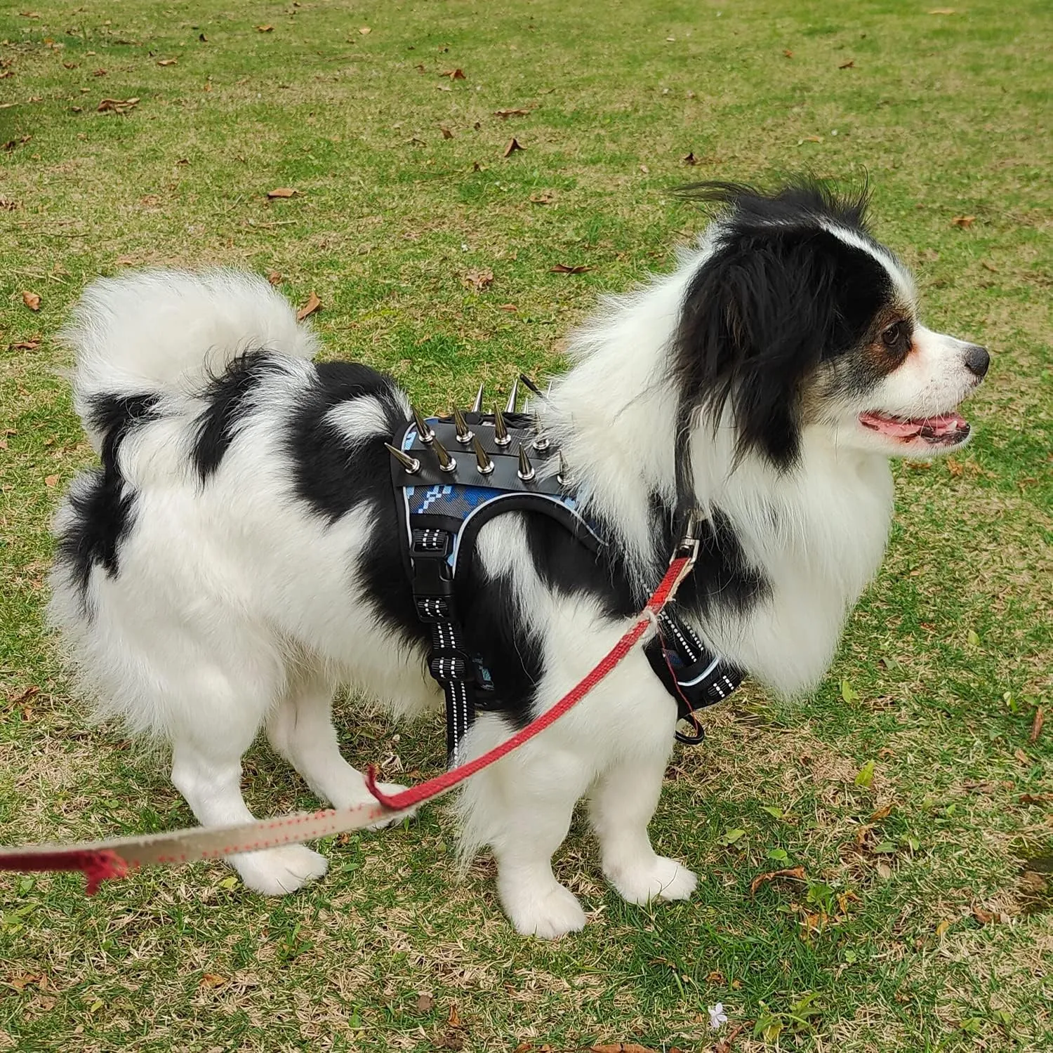 XSFANCYFUN Tactical Dog Harness, Blue Camouflage, Small, No Pull Adjustable with Removable Spike Strips
