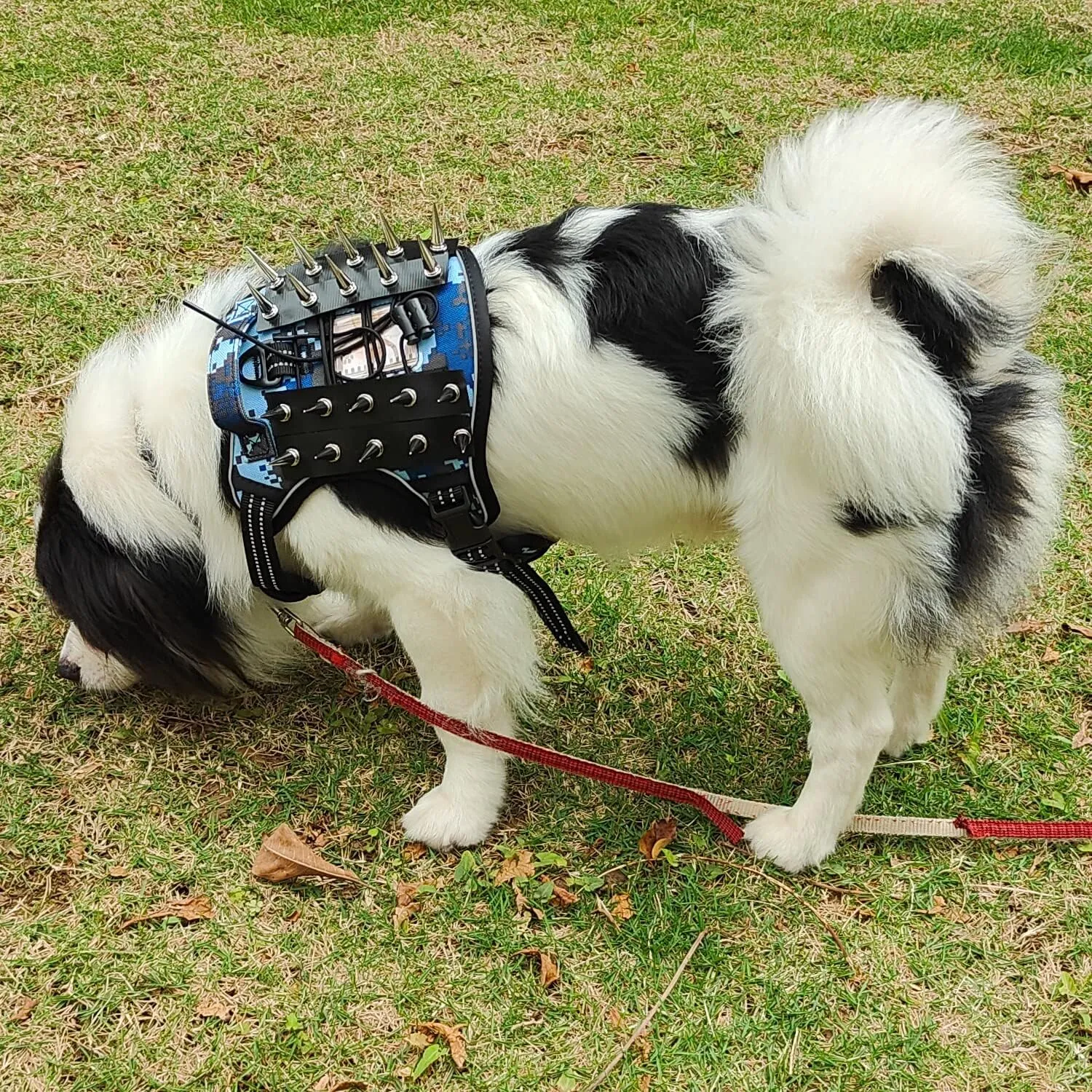 XSFANCYFUN Tactical Dog Harness, Blue Camouflage, Small, No Pull Adjustable with Removable Spike Strips