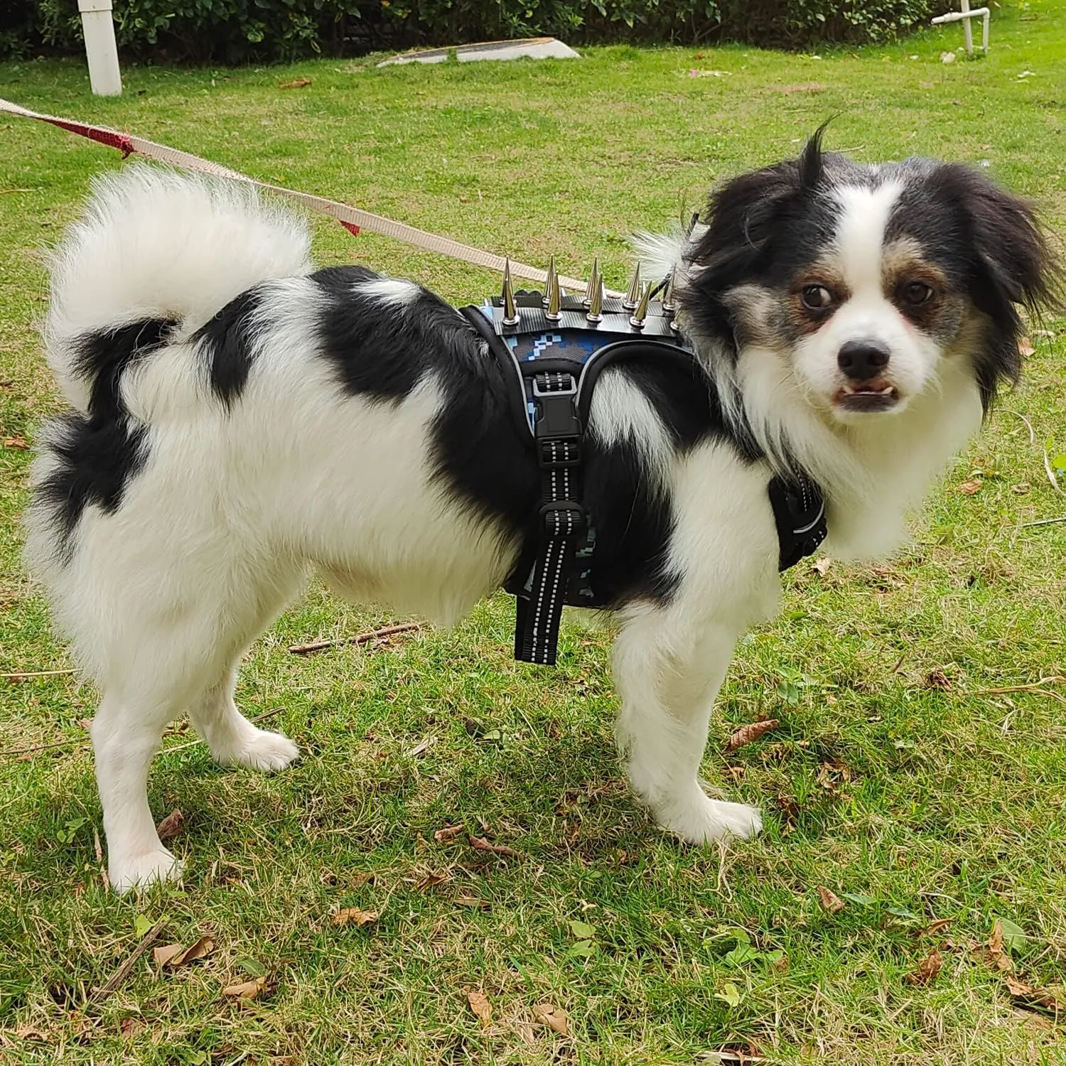 XSFANCYFUN Tactical Dog Harness, Blue Camouflage, Small, No Pull Adjustable with Removable Spike Strips